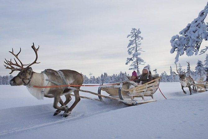Saariselka Reindeer Farm